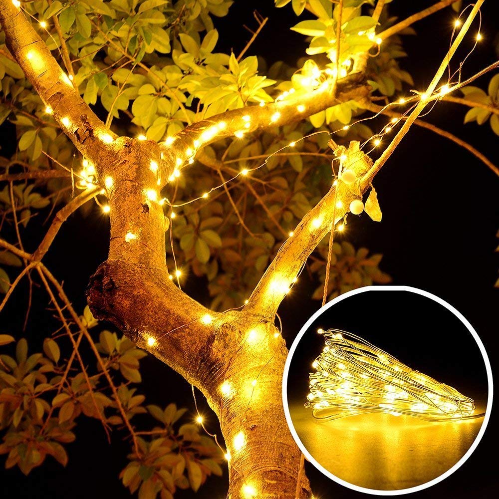 USB & Battery Copper Wire LED Fairy Lights