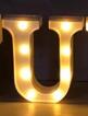 LED Alphabet & Number Marquee Night Light