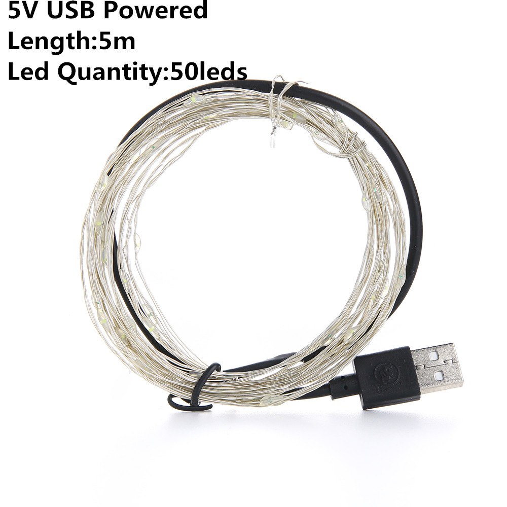 USB & Battery Copper Wire LED Fairy Lights