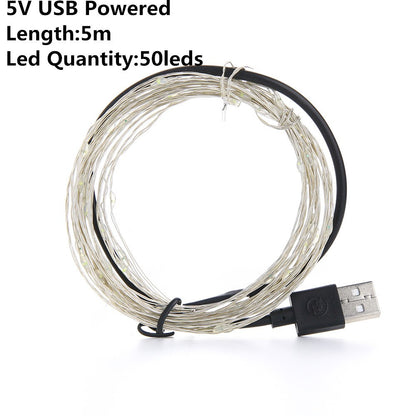 USB & Battery Copper Wire LED Fairy Lights