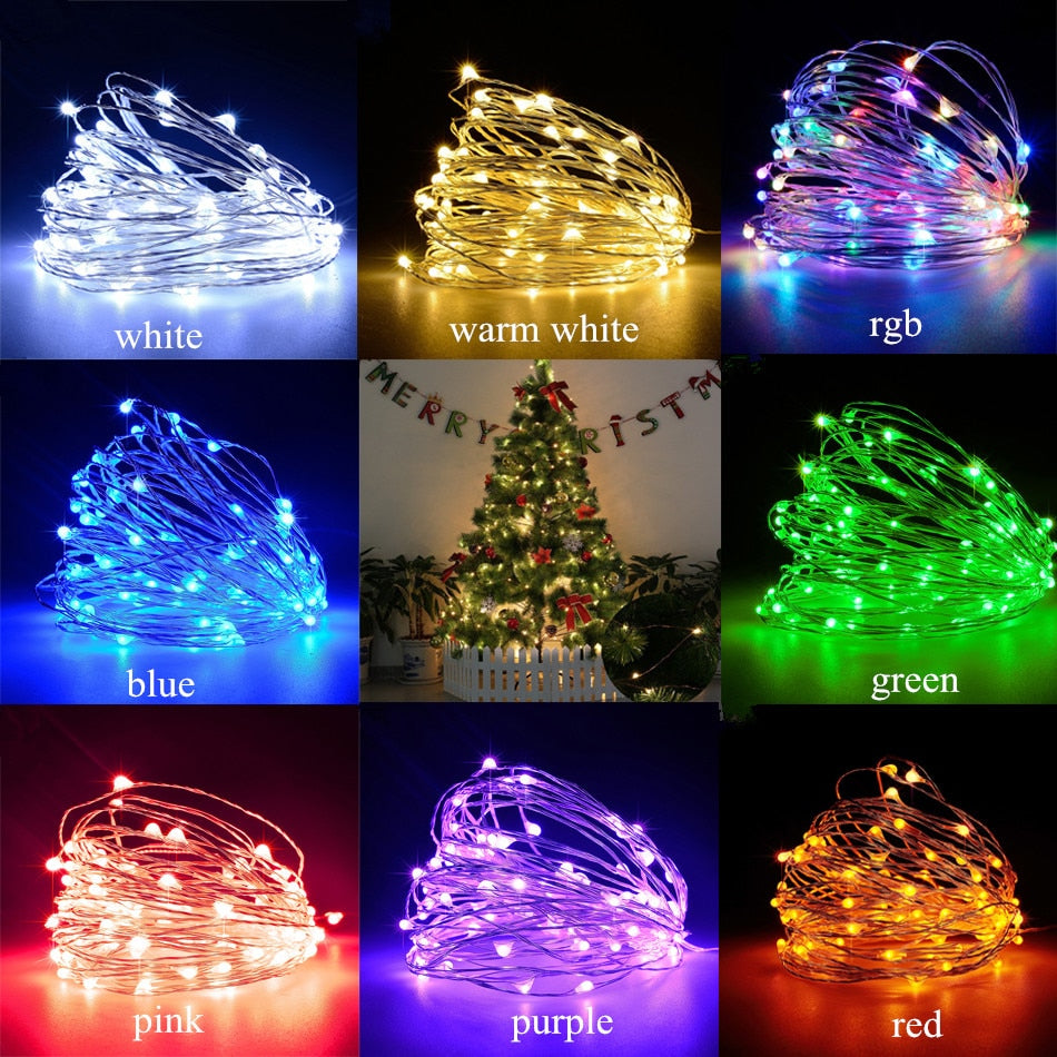 USB & Battery Copper Wire LED Fairy Lights