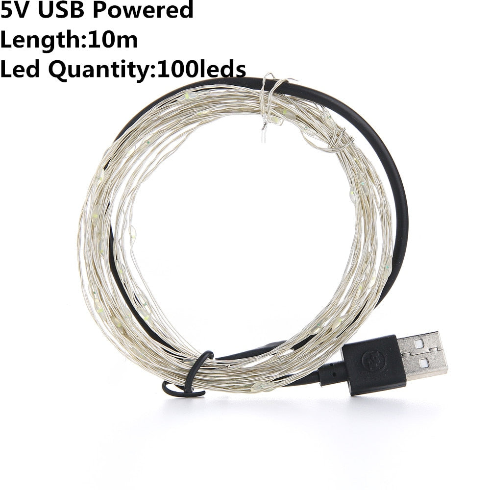 USB & Battery Copper Wire LED Fairy Lights