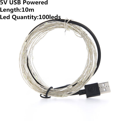 USB & Battery Copper Wire LED Fairy Lights