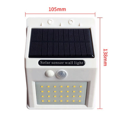 Solar Motion Sensor Garden Light