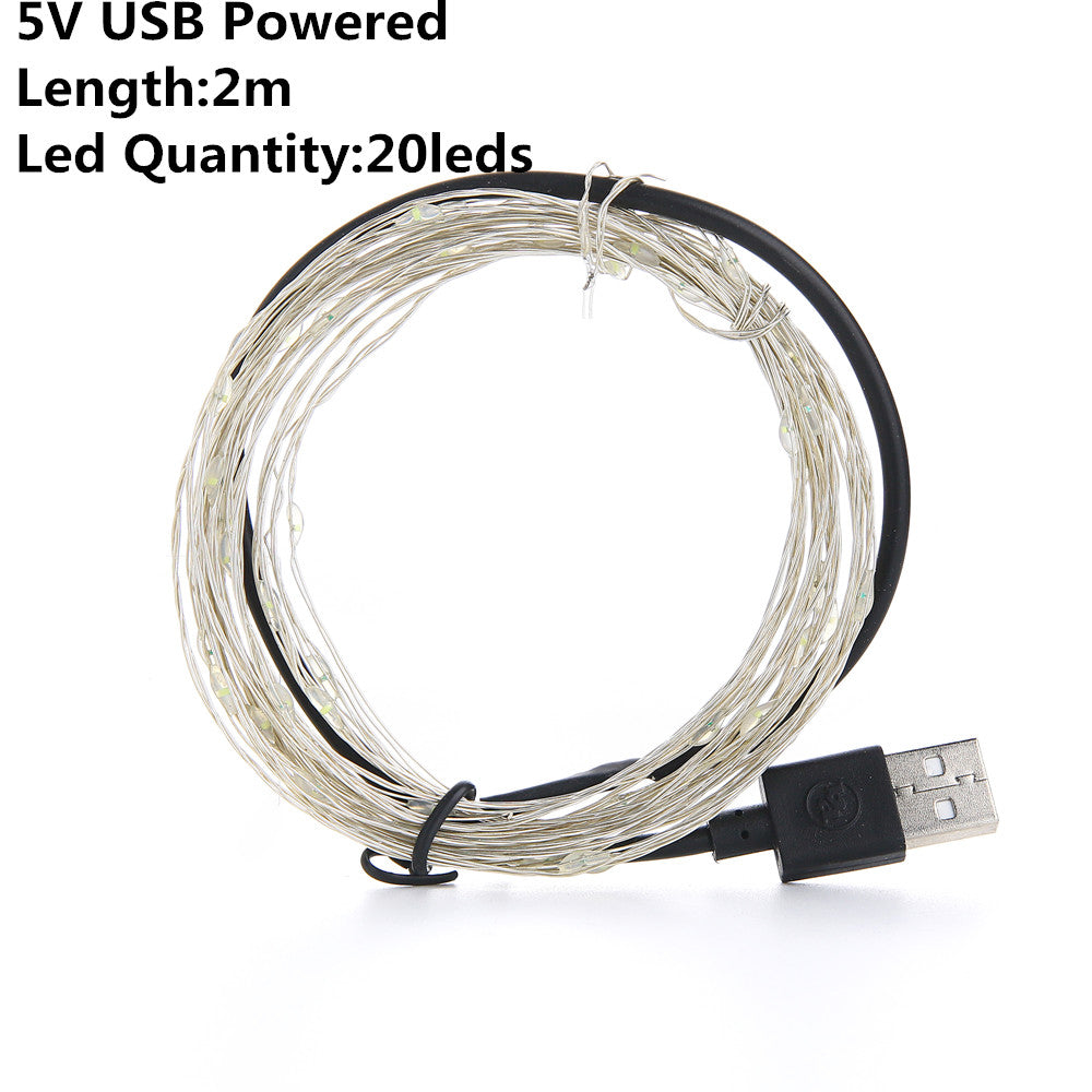 USB & Battery Copper Wire LED Fairy Lights