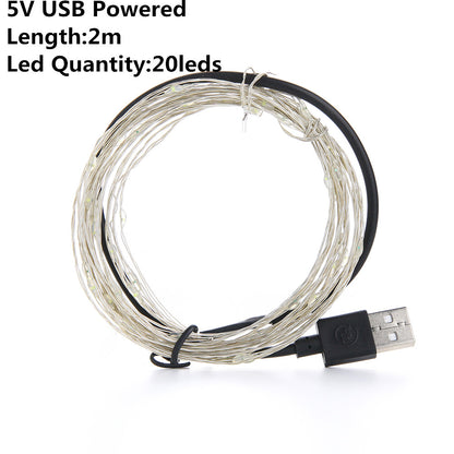 USB & Battery Copper Wire LED Fairy Lights